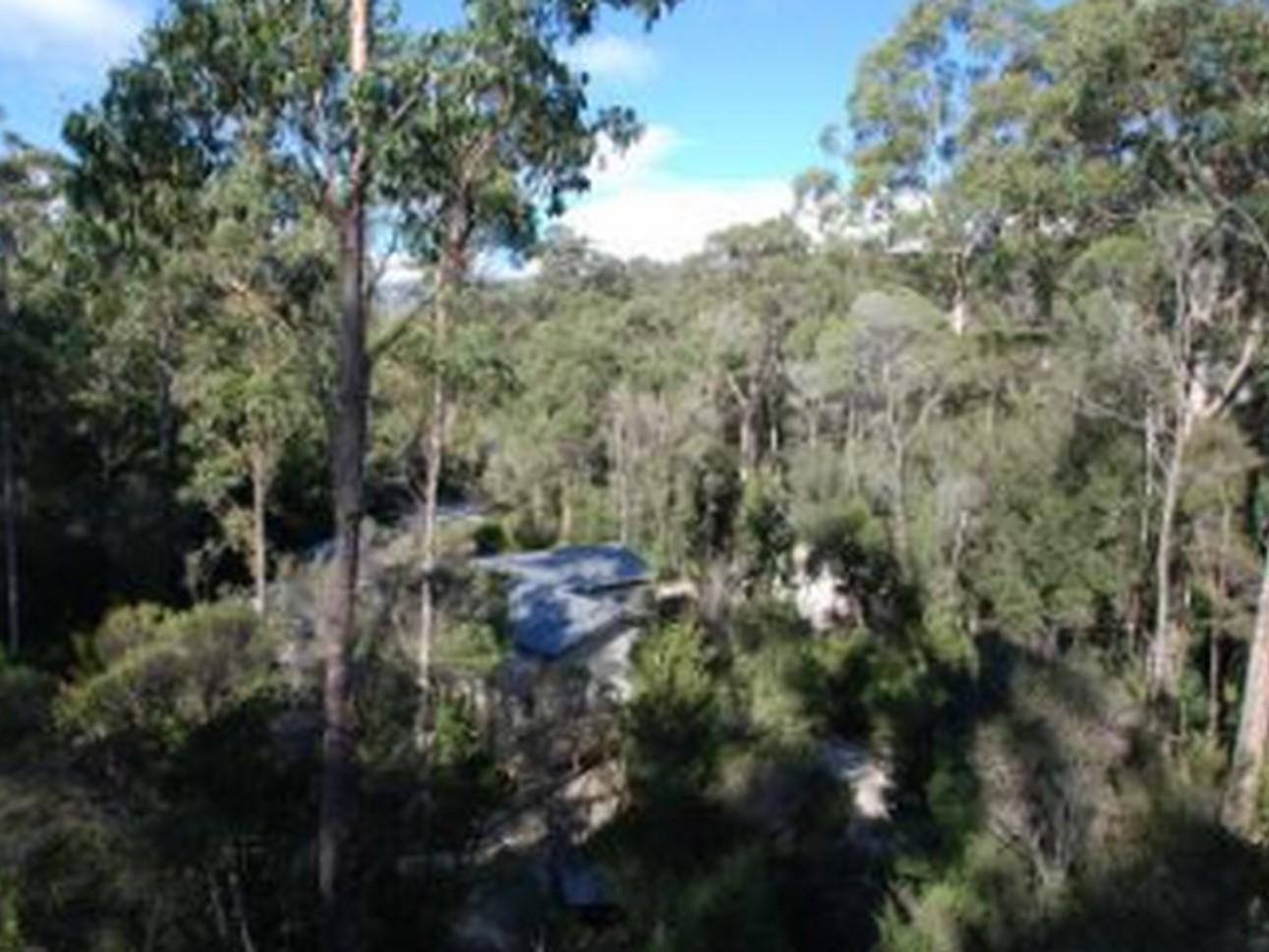 Tahune Airwalk Cabin And Lodge Geeveston Exterior photo